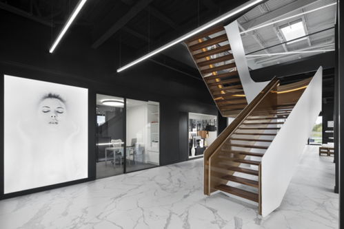 自然元素在辦公室工程裝修中的改造應(yīng)用